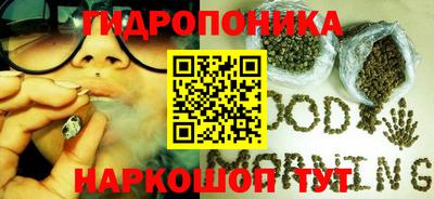 твердый Можга